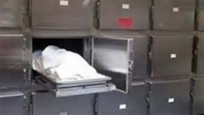 مصرع عامل أثناء تأدية مهام عمله بدمياط 