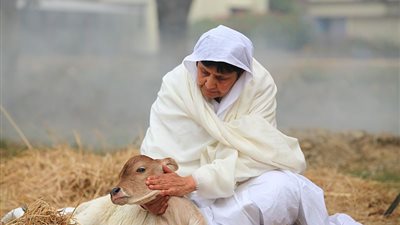 الشفقة والرحمة والفرق بينهما !