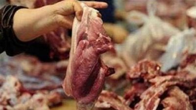 ضبط 80 كجم من اللحوم المذبوحة خارج المجازر بـ