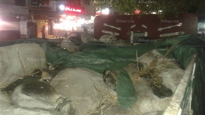 أمن المنوفية يكشف التفاصيل الكاملة حول سيارة 