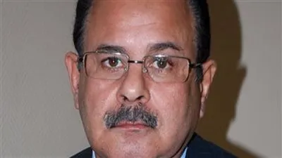 بقرار وزير الداخلية.. إسقاط الجنسية عن 61 مصريًا