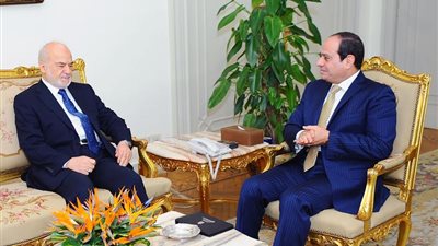 السيسي لوزير خارجية العراق:‎ نقف بجانبكم في محاربة الإرهاب