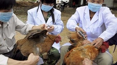 الصين تؤكد ثالث إصابة بشرية بانفلونزا الطيور هذا الأسبوع
