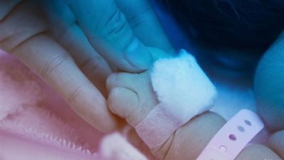 دراسة تؤكد أن رعاية الكنغر