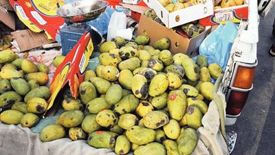 ضبط 14 طن فاكهة غير صالحة للإستهلاك الأدمي في الإسكندرية