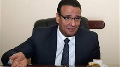 برلماني: توجد لوائح في مصر معطلة للاستثمار