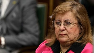 بسنت فهمي: سنواجه مشكلة في الغذاء بسبب ارتفاع سعر العملة 