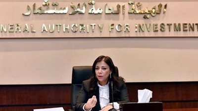 حصاد العام.. 5 محاور قامت عليها استراتيجية 