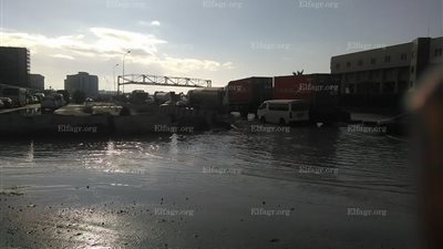 شلل مروري بطريق 