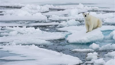 موجة حارة غير مسبوقة تضرب القطب الشمالي عشية أعياد الميلاد