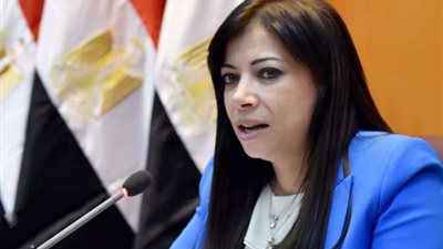 داليا خورشيد: إلغاء المناطق الحرة في قانون الاستثمار الجديد 