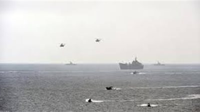 باحث روسي: سيناريو الإرهاب غير مرجح في حادث الطائرة المنكوبة 