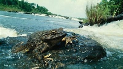 تعرف على حقائق ومعلومات شيقة حول 