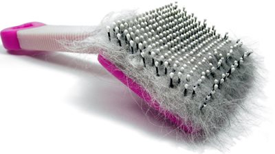 االأسباب التي تؤدي إلى إصابة القطط بتساقط الشعر !