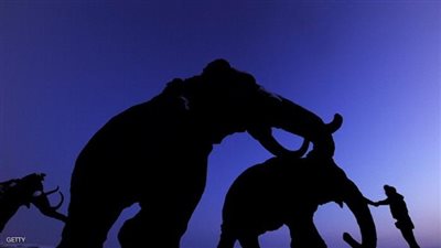 تعرف على حيوان المأموث المنقرض الذي يشبه الفيل (صور) !