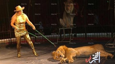 سيرك فاتن الحلو يستقبل كريسماس ٢٠١٧ بمهرجان جديد