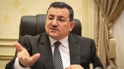 أسامة هيكل: 