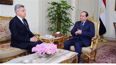 رئيس هيئة الرقابة الإدارية: مراجعة 1737 مشروعًا للافتتاح الرئاسي