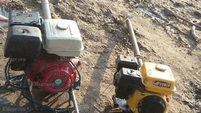 حملة أمنية على بحيرة البرلس لضبط الصيد الجائر(صور)