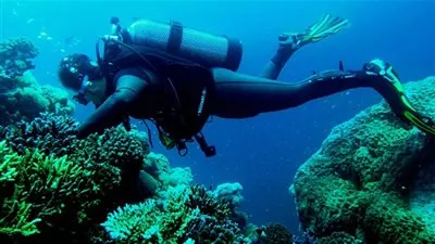 ضجة في السعودية بسبب 