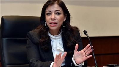 ننشر المسودة النهائية لقانون الاستثمار الجديد الذى أقره مجلس الوزراء اليوم