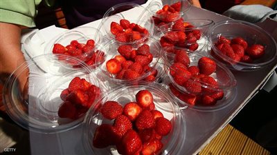 الكويت: الفراولة المصرية خالية من الفيروسات