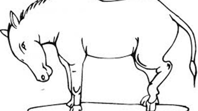 تعرف على الحيوان الذي اماته الله ثم احياه  !