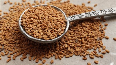 تعرفي على فوائد الحلبة للحفاظ على صحة اطفاللك !