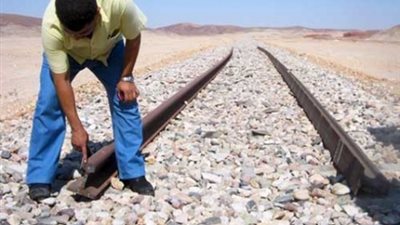 القبض على 3 أشقاء أثناء سرقتهم 