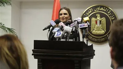 وزيرة التعاون: 5.9 مليار دولار تمويلات خارجية مستهدفة لقطاع الكهرباء خلال 2017