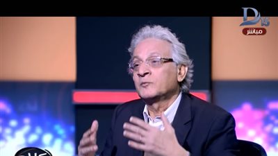 السناوي: محافظ البنك المركزي ليس صاحب قرار 