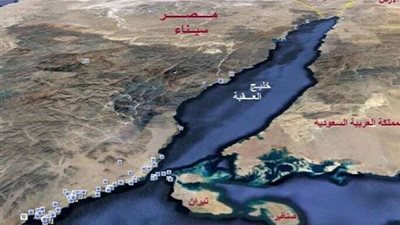 علي أيوب: سنطعن أمام النقض على حكم 