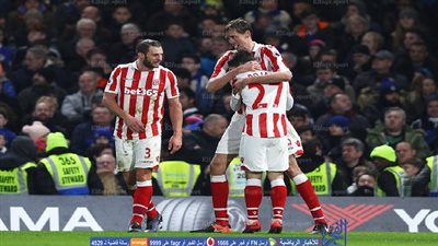 كراوتش يدرك التعادل مجددا لستوك سيتي أمام تشيلسي (فيديو)