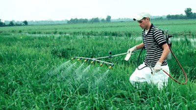 مصرع عامل استنشق مادة سامة في المنوفية 