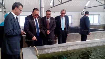 رئيس جامعة قناة السويس يتفقد معهد الاستزراع السمكي (صور)