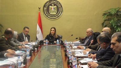  وزيرة التعاون الدولى تترأس اجتماع لجنة الإشراف على إزالة الألغام