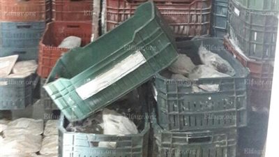 ضبط لحوم و مجمدات غير صالحة بفنادق وقرى السخنة بالسويس (صور )