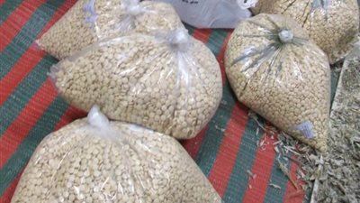 إحباط محاولتي تهريب قرابة 100 ألف حبة كبتاجون في حالة عمار