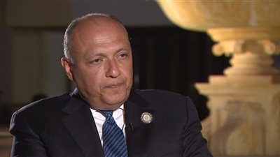 شكري: مصر لم تتلق دعوة رسمية لمحادثات سورية حتى الأن