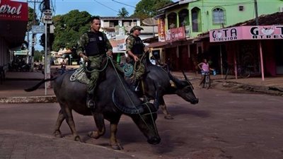 شرطة البرازيل الوحيدة في العالم التي تقوم بدوريات على ظهر 