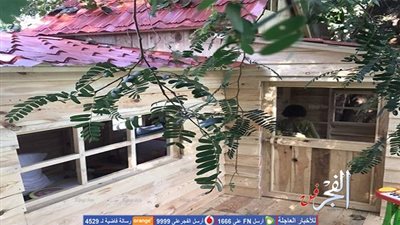 نجل شاروخان يخطف الأنظار بمنزله فوق الشجرة (صور)