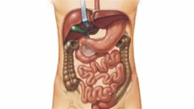 باحثون: اكتشاف عضو جديد فى جسم الإنسان