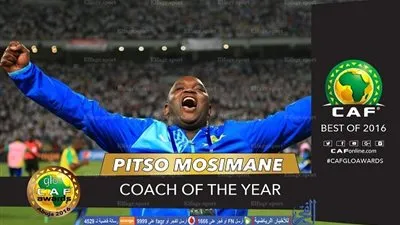 جوائز الكاف.. بيتسو موسيماني أفضل مدرب في إفريقيا 2016