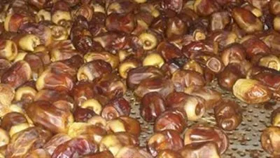 فوائد مذهلة للتمر خاصة فى فصل الشتاء.. تعرف عليها