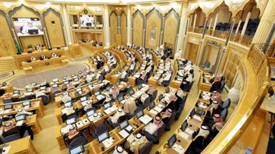 نظامان أمام 