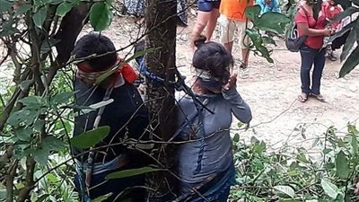 عقاباً على سرقة لم ترتكبها.. امرأة ماتت بعضات النمل السام (صورة)