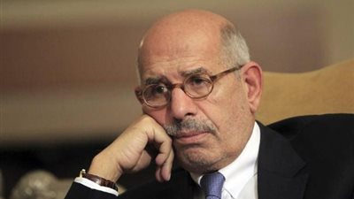 البرادعي: لا يوجد نخب في ظل نظام سلطوي (فيديو)