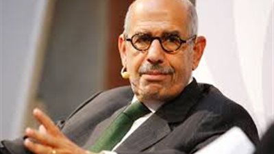 محمد البرادعي: تحولت لـ 