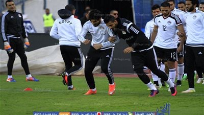 سليمان: الشناوي حارسا للمنتخب في أمم إفريقيا خوفا على عصام الحضري