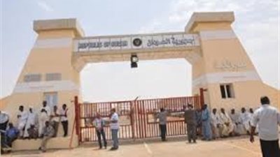 القنصل العام السوداني بأسوان: معبر أرقين مشروع ضخم يحقق منفعة لمصر والسودان